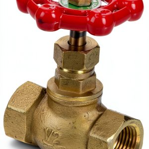 Mueller Industries 106-003NL Globe Valve 1/2 in IPS 125 WSP 200 PSI-0