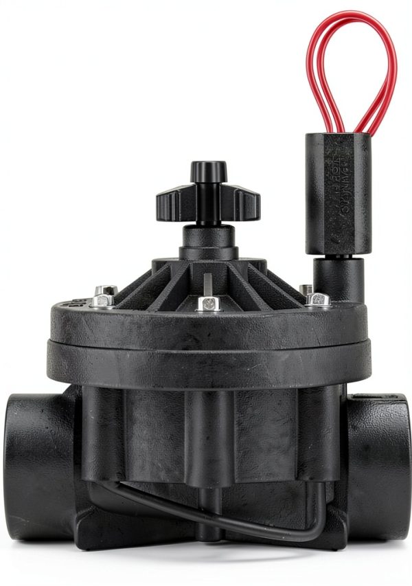 Hunter Sprinkler ICV201G 2-Inch Globe Valve Brass Stainless Steel-0